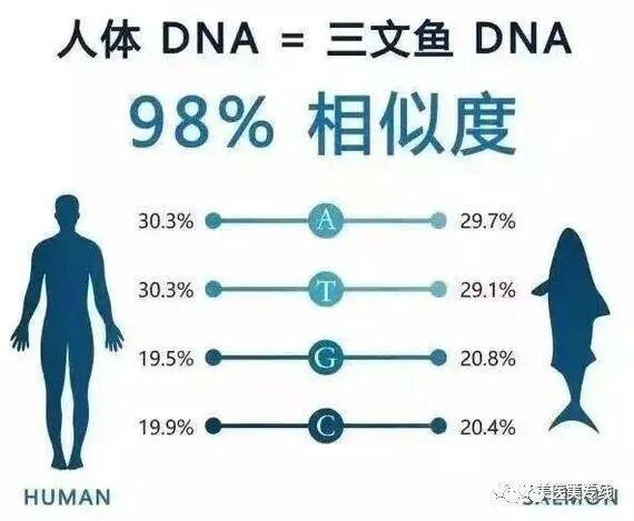 为什么有些针要避光水光伴侣——三文鱼水光针，原来好用的鱼有这么多_https://www.jmylbn.com_新闻资讯_第5张