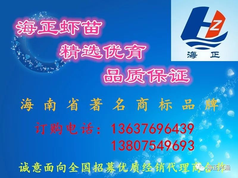 店铺经验分享_优秀店家分享怎么介绍_优质商家经验分享