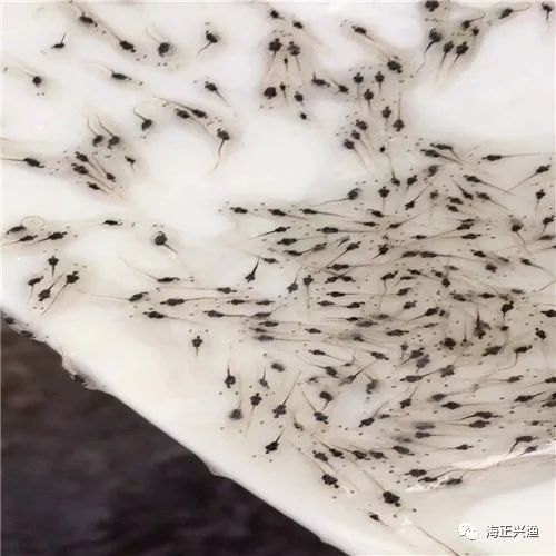 优秀店家分享怎么介绍_店铺经验分享_优质商家经验分享