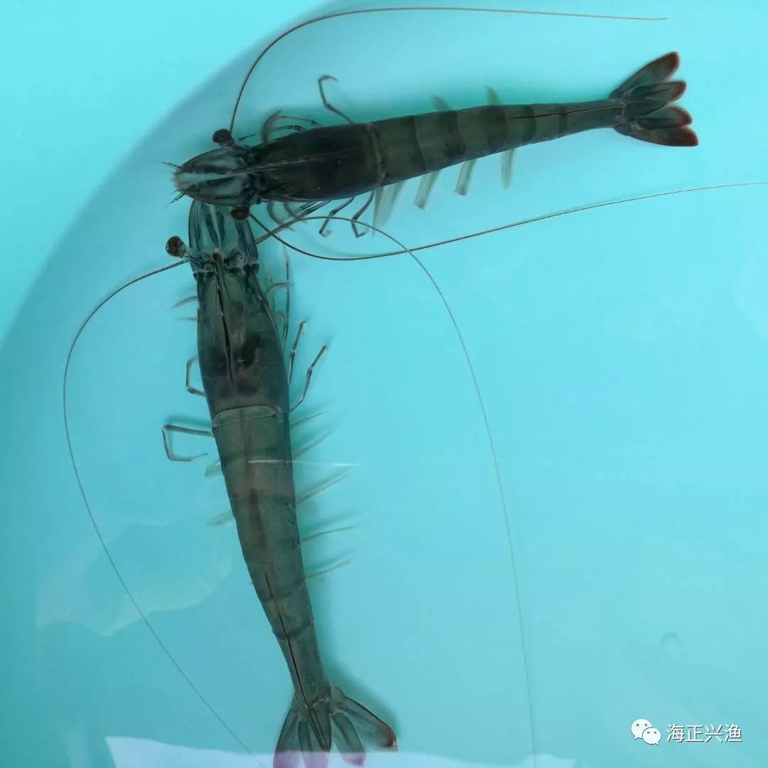 优秀店家分享怎么介绍_店铺经验分享_优质商家经验分享