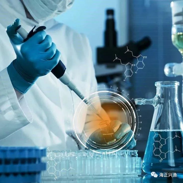 优秀店家分享怎么介绍_优质商家经验分享_店铺经验分享