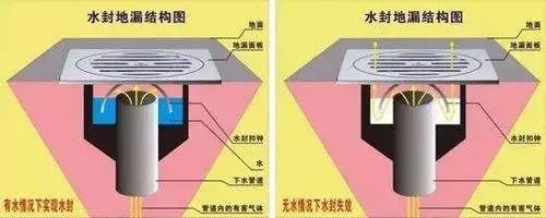 馬桶？地漏？洗手台？居家廁所異味到底出在哪裡？ 家居 第6張