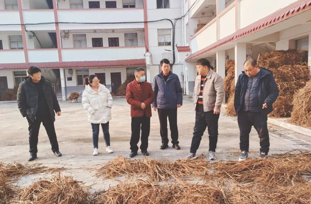 发挥专业优势，助力乡村振兴—郧西职校作物生产技术专业教师主动助力中药材种植产业发展