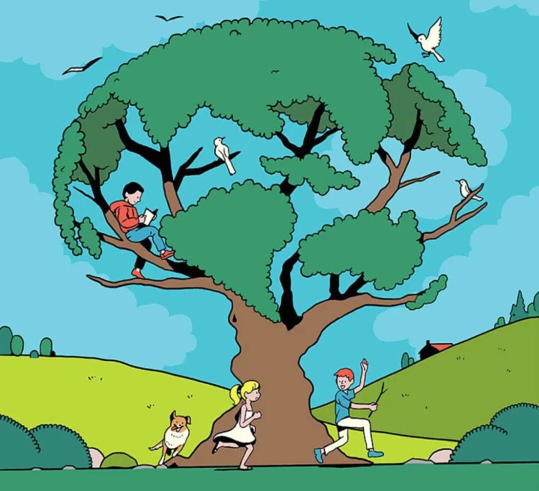 640 - 2025-03-08T205152.783.jpg