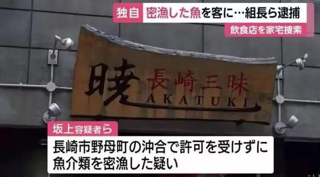 640 - 2025-03-08T204229.785.jpg