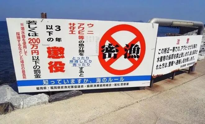 640 - 2025-03-08T204227.525.png