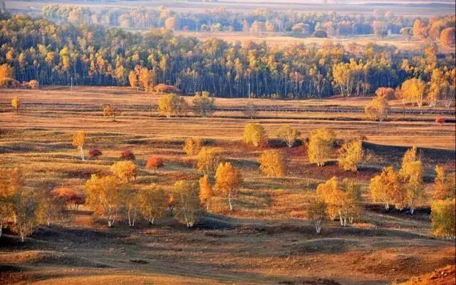 cs便携版地图_中国东北旅游地图_安徽地图高清版大图