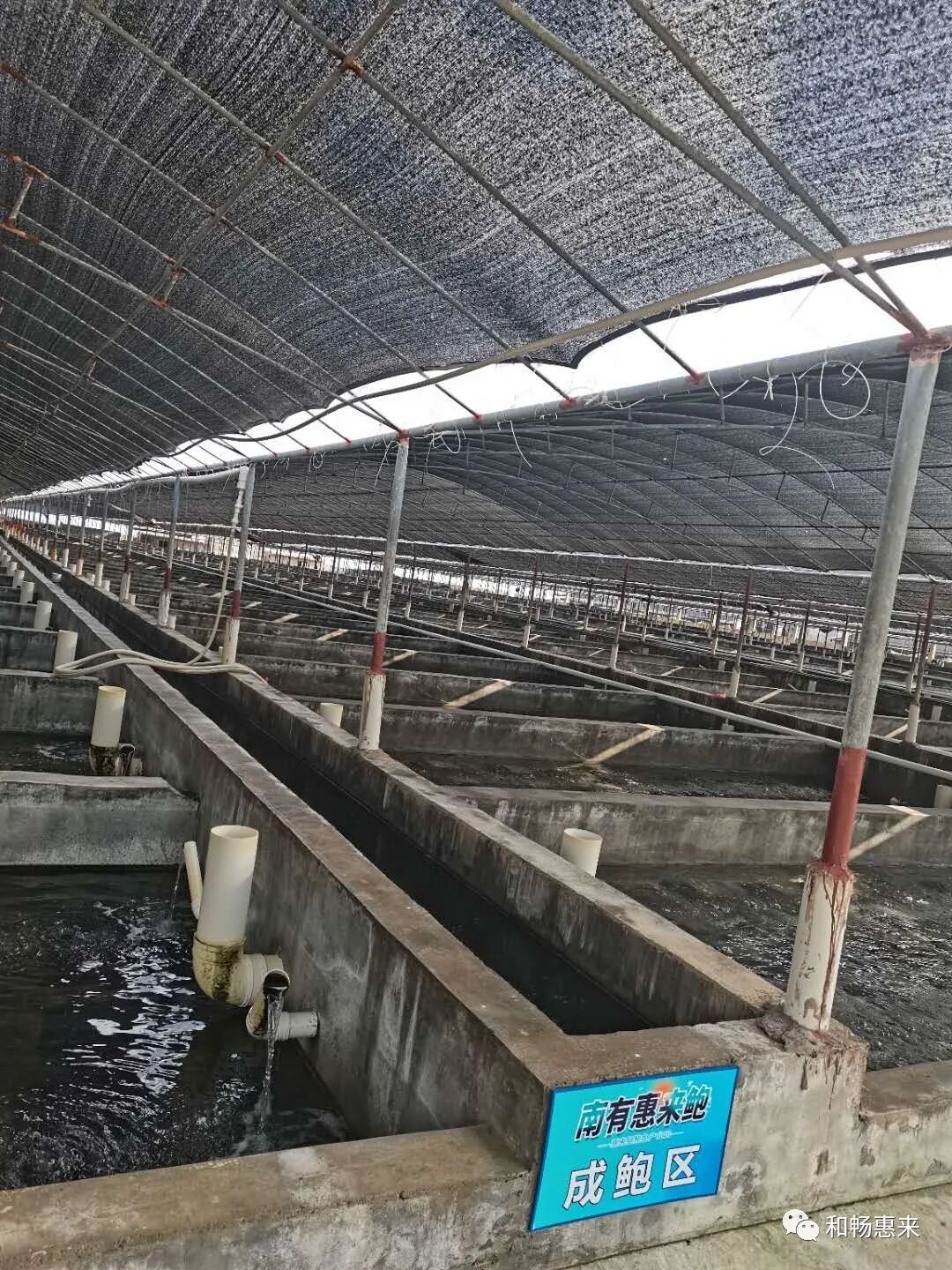 必看惠来润泽水产养殖有限公司学习贯彻省委书记李希莅揭调研讲话精神