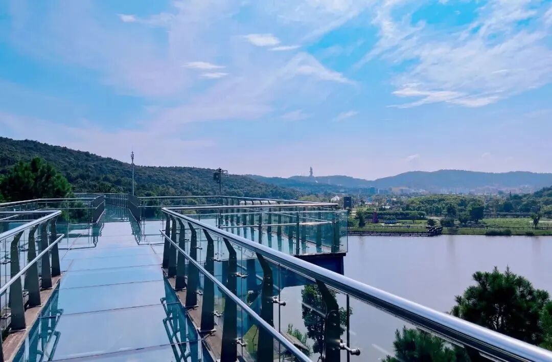 爱在太湖湾,热恋正当"夏"