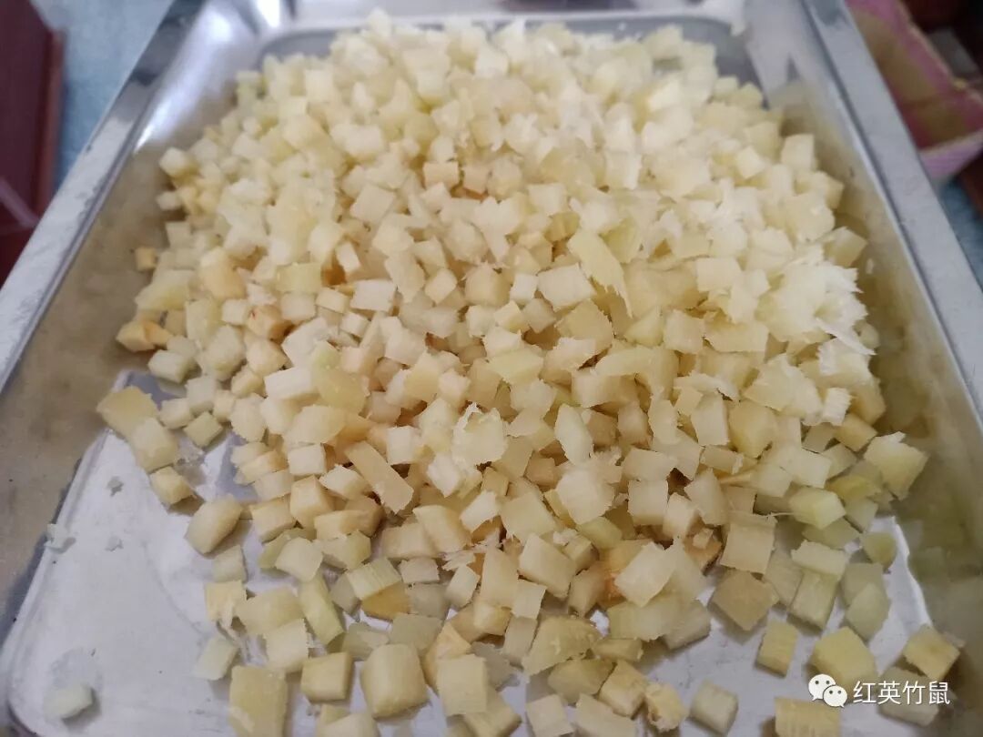 小竹鼠掉牙怎么办？竹鼠掉牙怎么处理