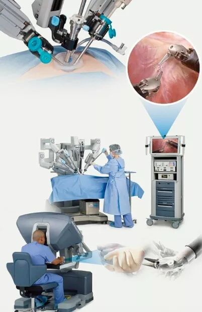 机智人科技 图片