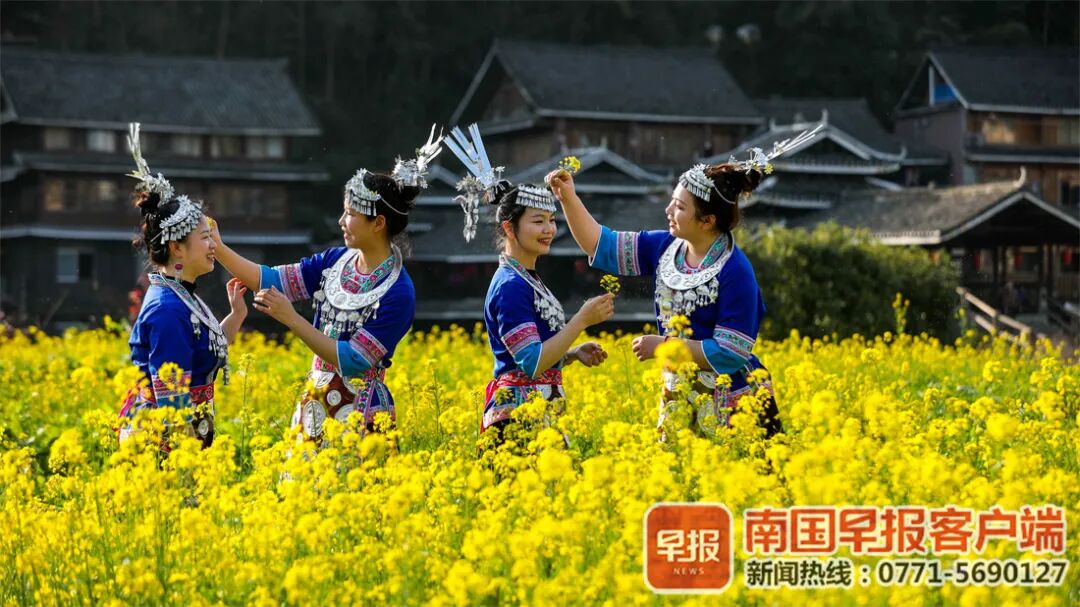 红 黄 粉 白 紫 广西的花 都开好了 杂途志