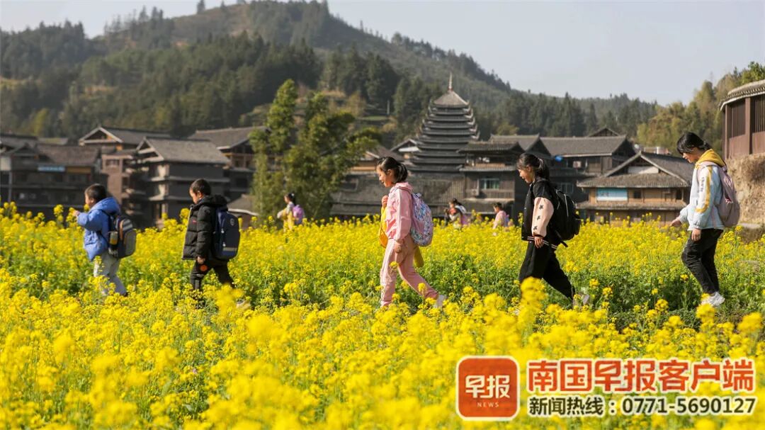 红 黄 粉 白 紫 广西的花 都开好了 杂途志