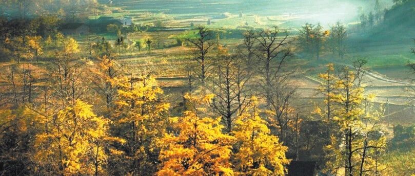 超赞！广西4地上榜中国旅游百强县、13地入选潜力百强县