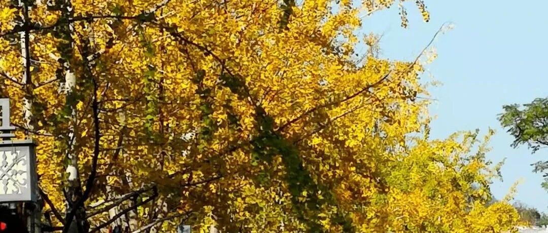 宛如童话！广西这个地方变色了