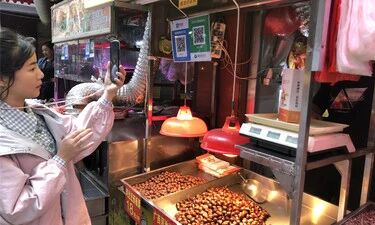 关于坚果那些事儿，都懂吗？你吃的夏威夷果可能产自广西