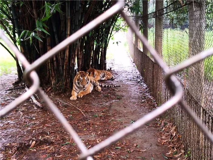 桂林熊虎山庄正式拆迁一代人的记忆即将消失