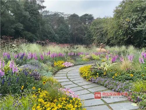 赏花正当时 南宁市人民公园开启 云赏园 模式 青秀山举办花展 广西新闻