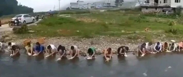 今天，没有一只鸭子能飞出广西……