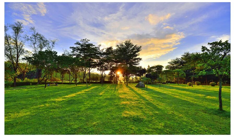 黄埔飞晟沁园独栋别墅170~367㎡，值不值得买？