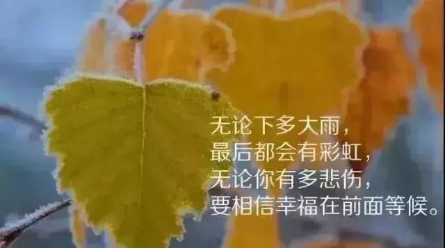 情感文字说说控_情感说说_情感情感说说