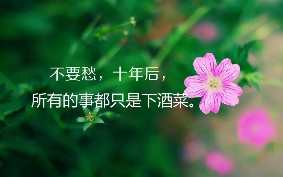 适合发朋友圈的经典语录心情句子 句句穿透人心
