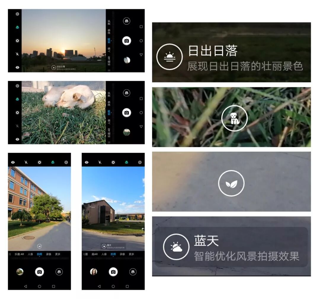 你懂懂懂我懂懂懂歌词_聪明最懂用笨功议论文答案_网页翻译功能在哪