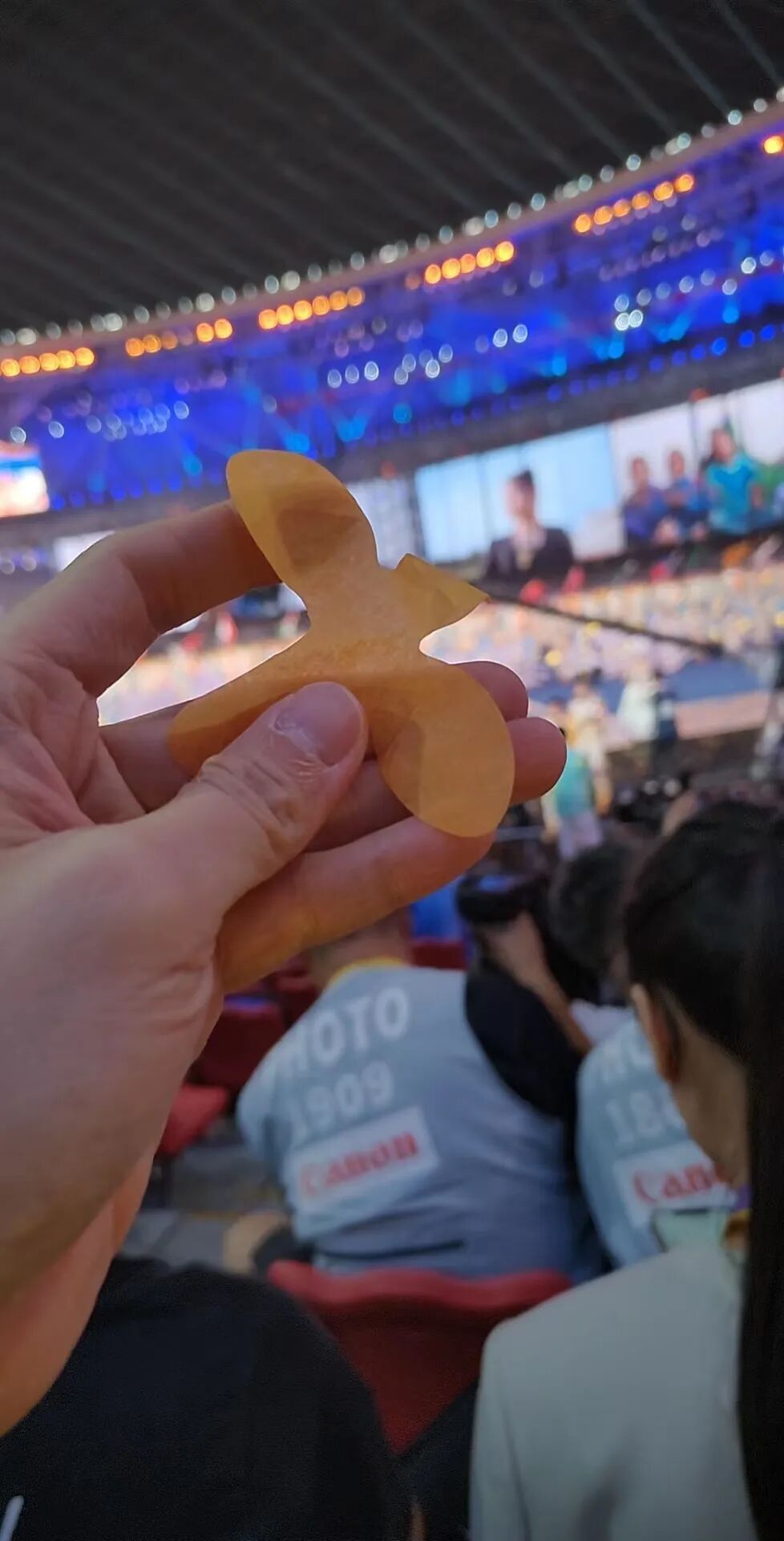 体育场上空下起了“桂花”，图源南方网