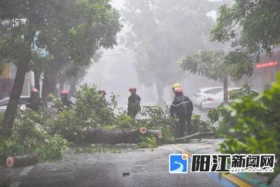阳西县沙扒镇区街道，工作人员在清理路上被风吹倒的树木。
