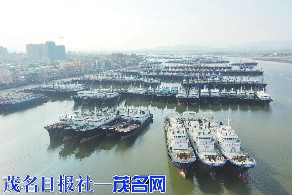 茂名市船只回港并落实防风措施。