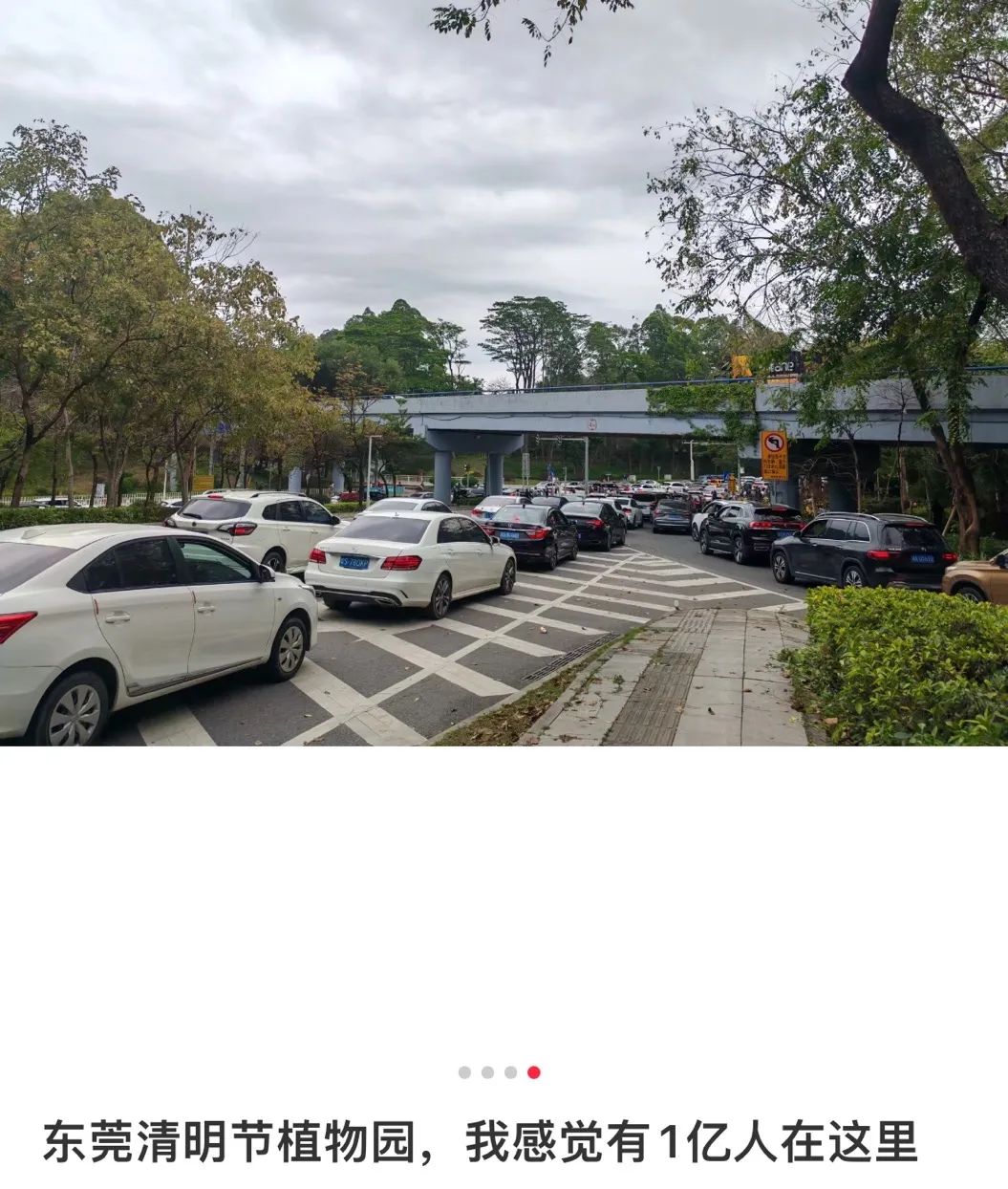 好消息！明日起我市婚姻登記可“跨省通辦”