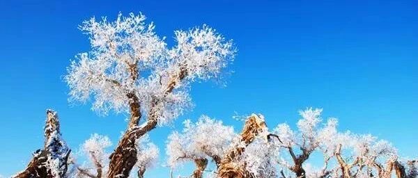 新疆沙漠下雪，简直美到爆！一组照片惊艳全国