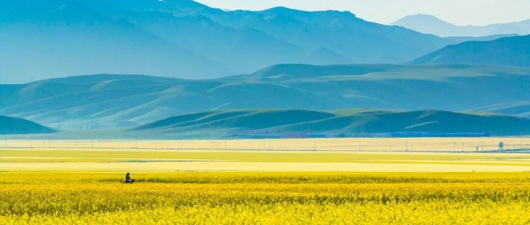 刚刚，新疆流出的一组照片，震惊了全世界!