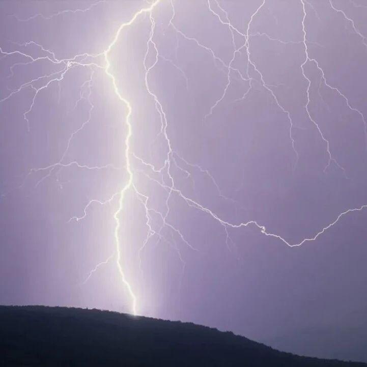 又一猪企“变脸”预亏！猪企上市公司亏损成常态，猪周期拐点何时到来？