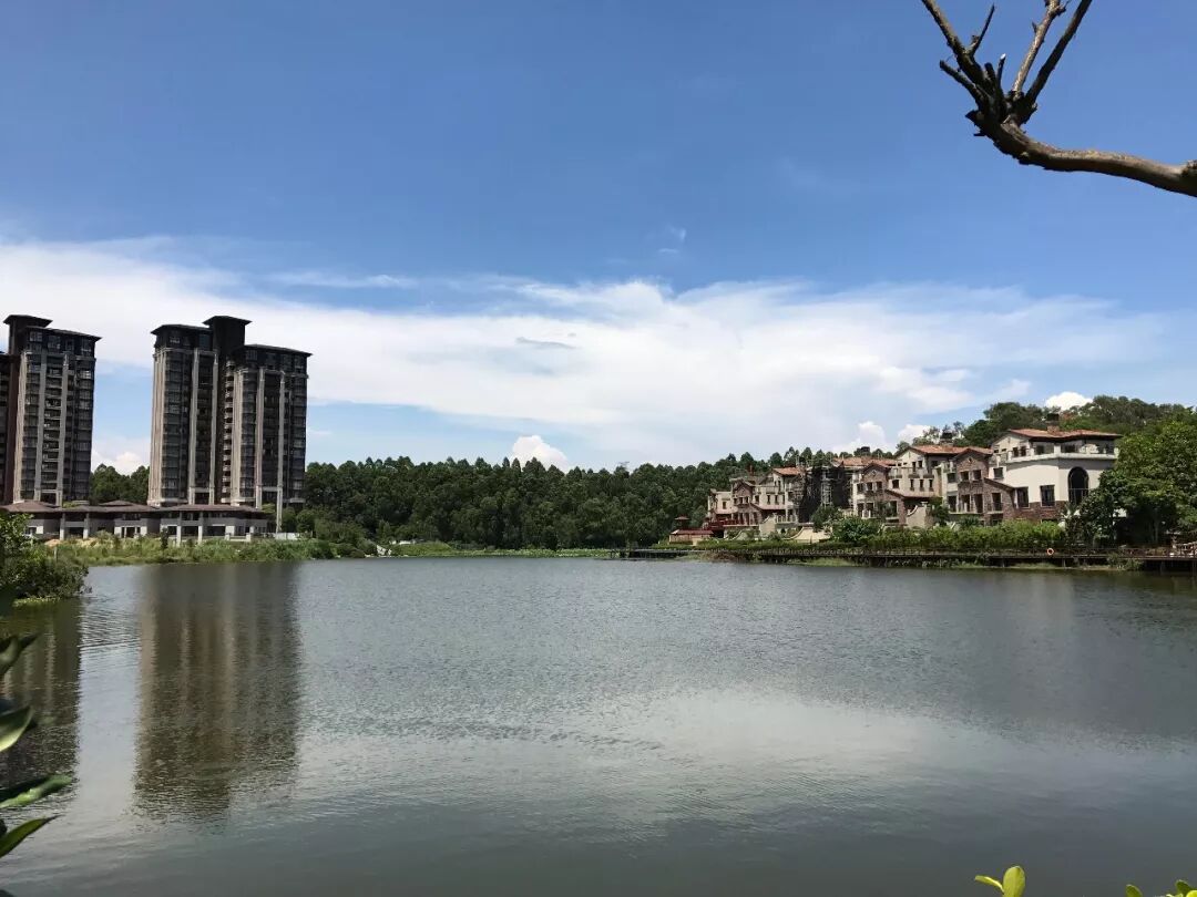 华为产业链下的松山湖：房价已成东莞领头羊之一