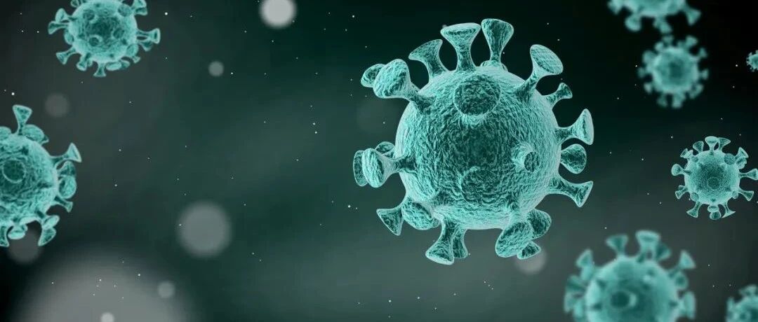 揪心！吉林本土感染者过万，自测小程序已上线；上海8+366，泉州265+74…哈尔滨出主城区须48小时核酸阴性证明