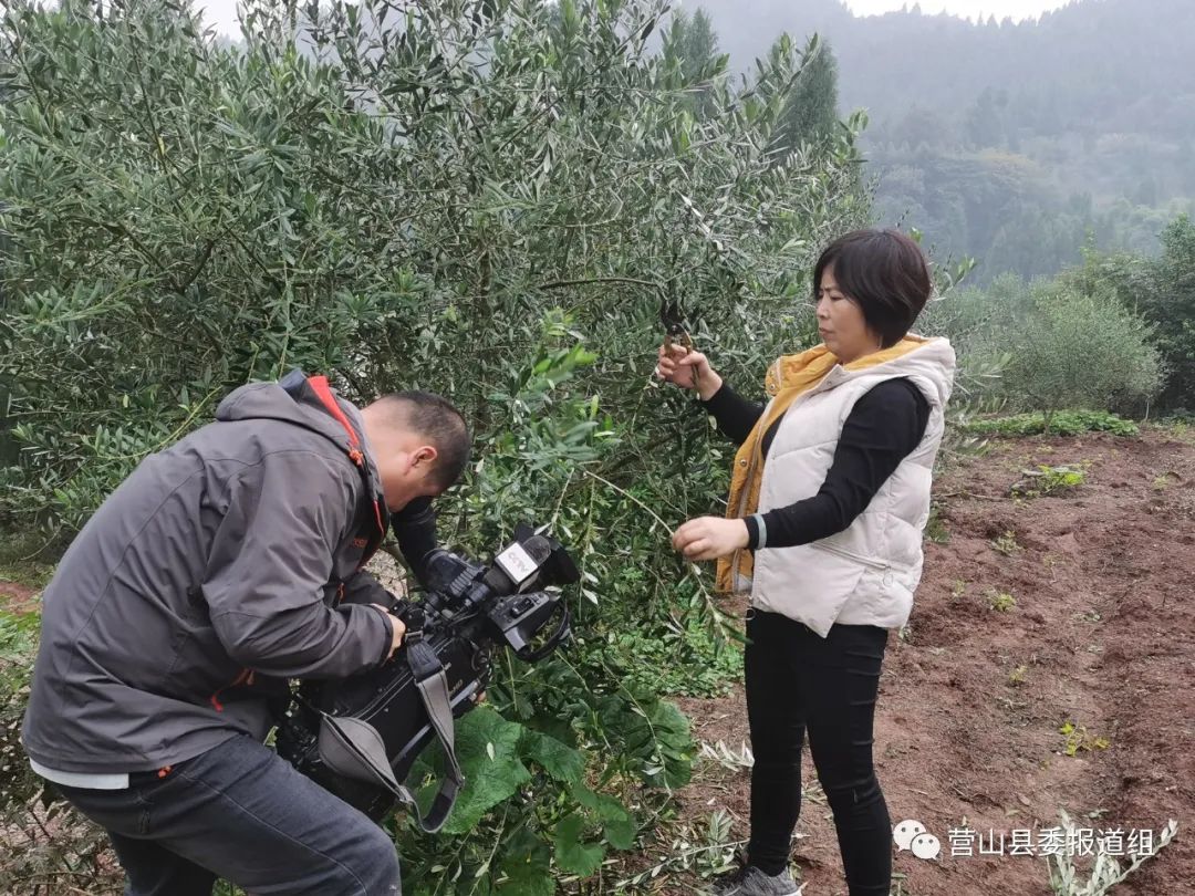 致富栏目在哪个电视台_致富经栏目_致富栏目组