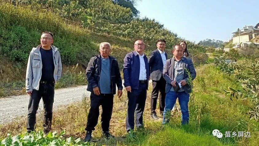 王周林到新现镇调研产业发展防返贫动态监测工作