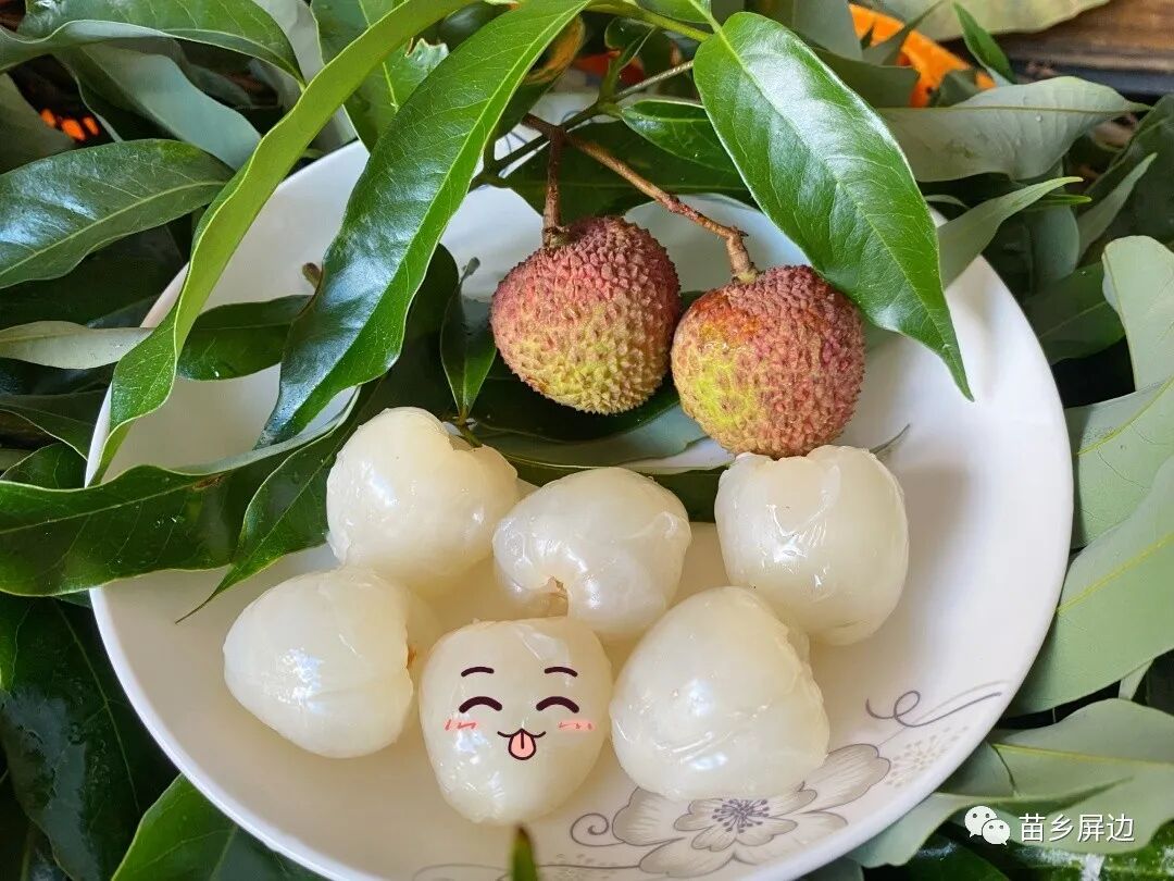 美丽屏边丨抢鲜一步屏边妃子笑荔枝上市啦