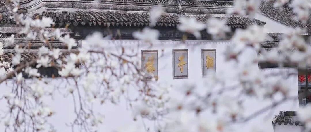 知道你不能来，我把苏州的春天拍给你看