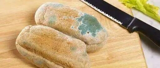 发霉食物去掉“霉”后还能吃吗