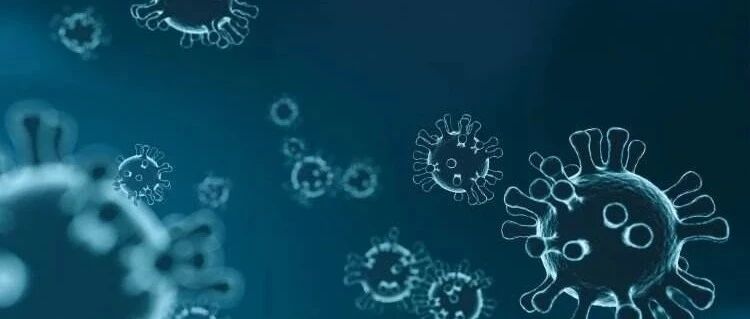 一名新冠病例密切接触者从厦门到阆中，最新官方提示来了