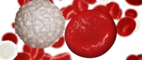 血常规正常，还会得白血病吗？医生告诉你答案