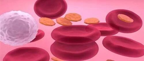 骨髓移植后，患者要注意这些“细节”