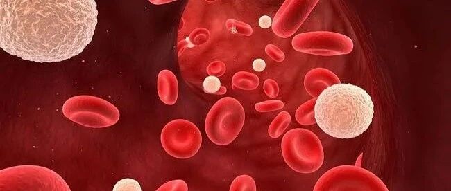 血小板高的人，通常会出现这些表现，快来自查一下！