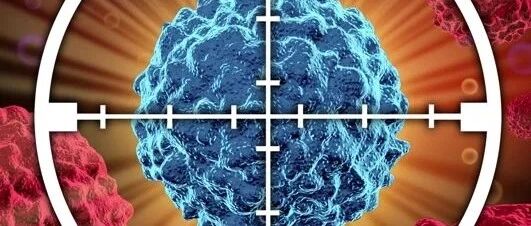 慢粒长期吃靶向药【肝功能异常】怎么护理？