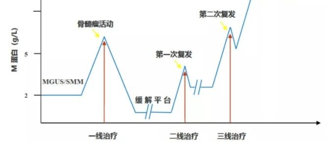 维持治疗对于多发性骨髓瘤患者来说至关重要！