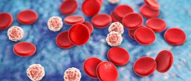 白细胞减少是否对身体有损害？听听医生怎么说