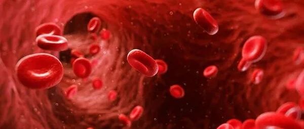 血栓危险吗？骨髓增生性疾病该如何预防血栓？