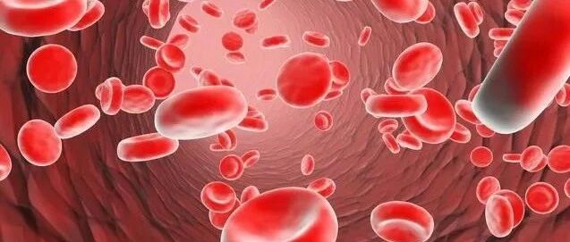 什么是血小板？他为啥会“欺软怕硬”？